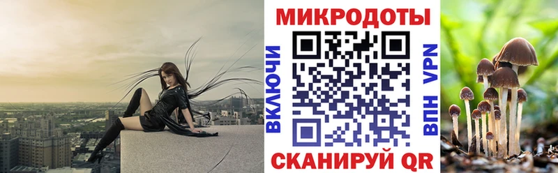 закладки  Алзамай  Псилоцибиновые грибы мицелий 